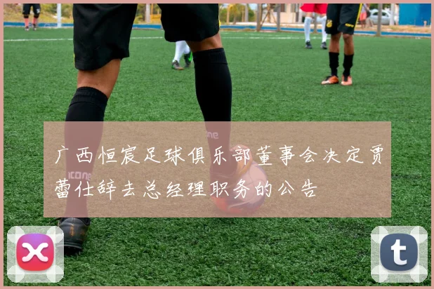 广西恒宸足球俱乐部董事会决定贾蕾仕辞去总经理职务的公告